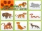 Wild Animals Kids Memory game — free online game