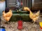 Poultry Farm Easter Escape — free online game