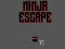 Ninja escape — free online game