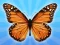 MergeButerfly: 2048! — free online game