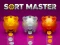 Sort Master — free online game