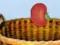 Harvesting — free online game