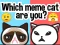 Which Meme Cat Are You? — free online game