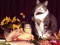 Funny Cats Puzzle — free online game