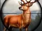 Animal Safari Hunter 2020 — free online game