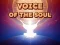 Voice Of The Soul — free online game