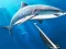 Hunting Underwater Spearfishing – tasuta veebimäng
