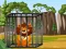 Гаме Savannah Key Rescue онлајн