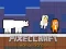 PixelCraft Animal School — free online game