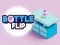 Bottle Flip — free online game