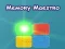 Memory Maestro — free online game