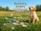 Playful Puppy Outdoor Puzzle — free online game