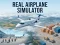 Real Airplane Simulator — free online game