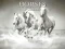 Horses Puzzle — free online game