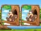 Jungle 5 Diffs — free online game