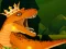 The Dino King — free online game