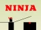 Ninja go — free online game