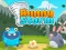 Bunny Storm — free online game