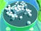 Roller Magnet — free online game