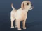 IDLE Pet — free online game
