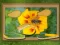 Find & Restore: Hidden Puzzle — jogo online grátis