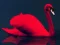 Love Birds Puzzle — free online game