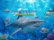 Hunter Underwater Spearfishing — free online game