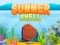 Summer Shell — jogo online grátis