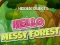 Játék Hidden Objects Hello Messy Forest online