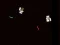 Skibidi Toilet Wars — free online game