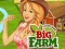 Big Farm — free online game