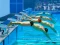 Swimming Pool Race — free online game
