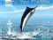 Hra Azure Sea Fishing