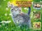 Kittens Jigsaw — free online game