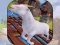 Angry Goat Wild Animal Rampage — free online game