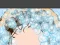 My Hair Styles — free online game