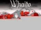 Whaito — free online game