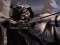 Shadow Archers — free online game