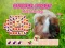 Guinea Piggy Matching — free online game