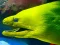 Underwater World Jigsaw — free online game