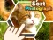 Sort Photograph — free online game