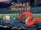 Leikur Snake Hunter á netinu
