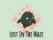 Lost In The Maze — jogo online grátis
