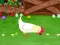 Stupid Chicken — free online game