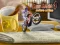 Bike Mania 4 Micro Office — free online game