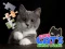 Jwèt Cute Cats Jigsaw Puzzle sou entènèt
