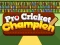 Pro Cricket Champion — free online game