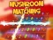 Mushroom matching — free online game