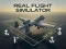 Real Flight Simulator