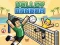 Volley Random เกมออนไลน์ฟรี